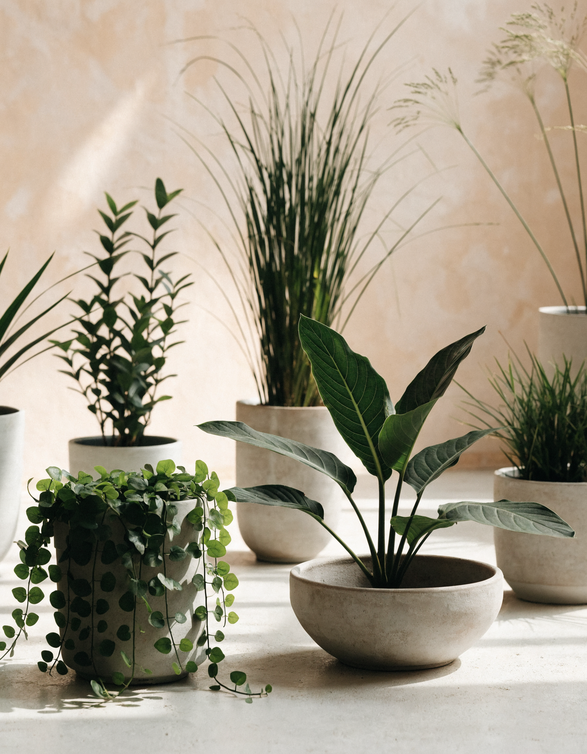 Grouping of artificial potted plants in matte ceramic pots