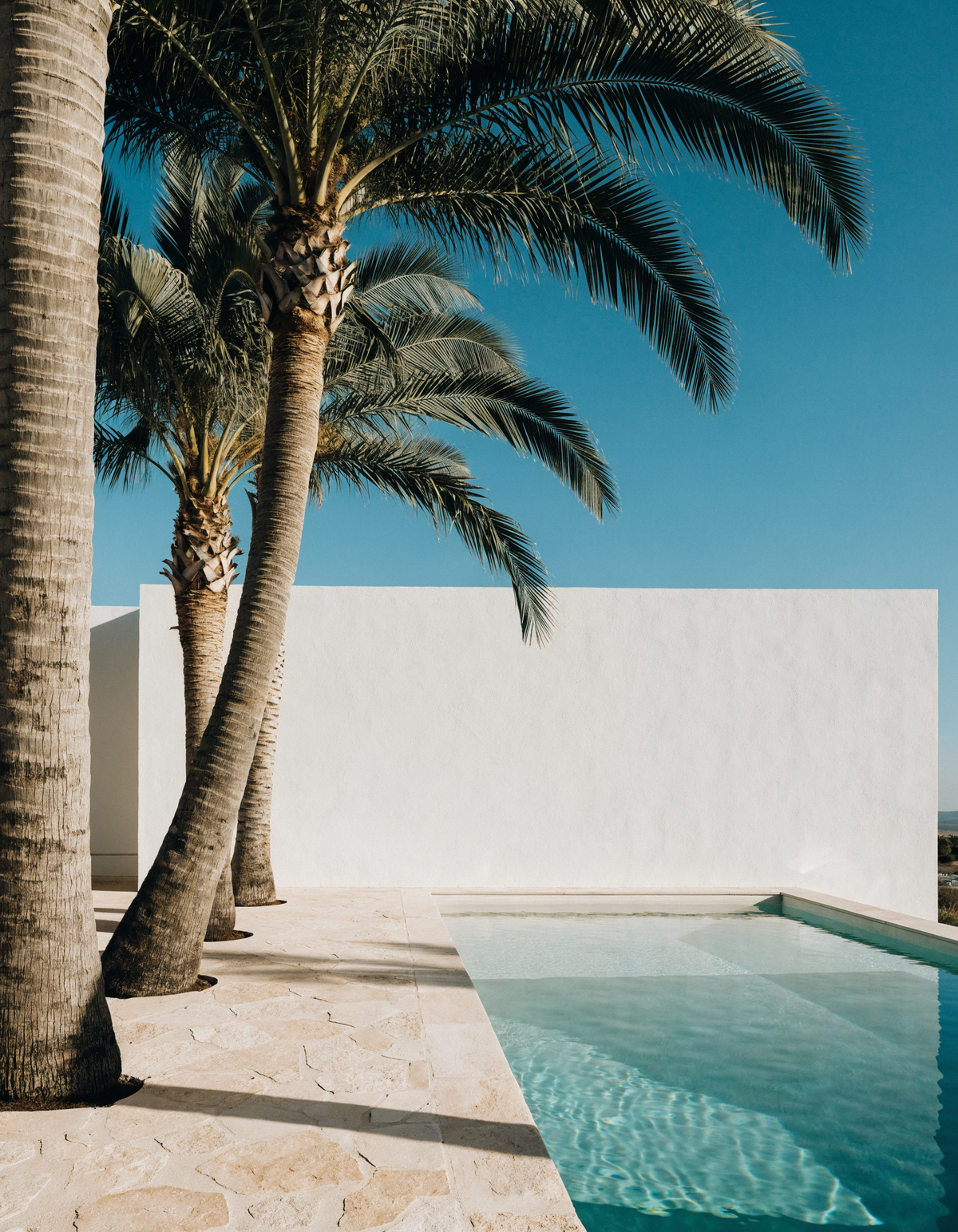 Tall artificial palm trees beside a modern swimming pool