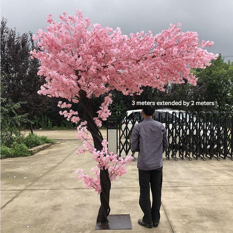 Close-up of the cherry blossoms clustered along each of the fine outer twigs