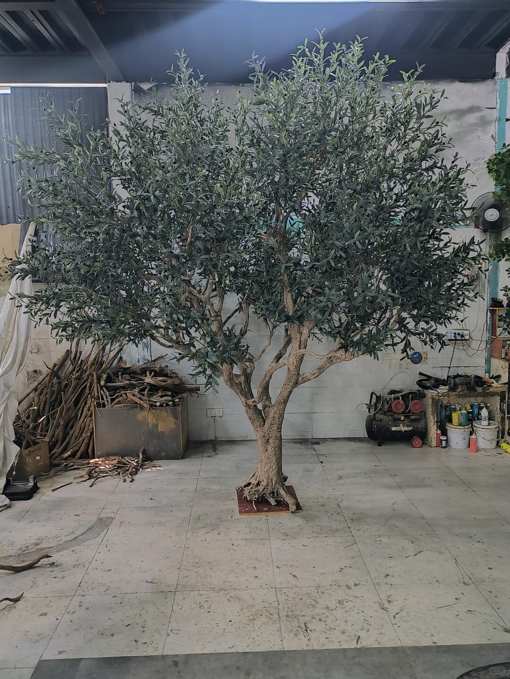 The trunk of the 10ft custom olive tree, textured with gnarled olive bark