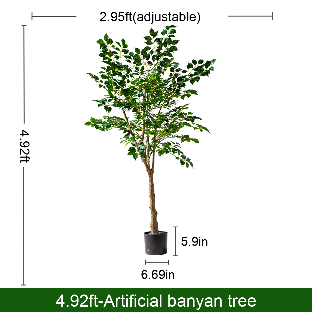The tree seen from the side, its branches reaching wider than the pot