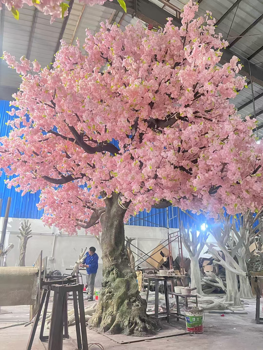 Base of the 20ft cherry blossom tree where the trunk meets the ground