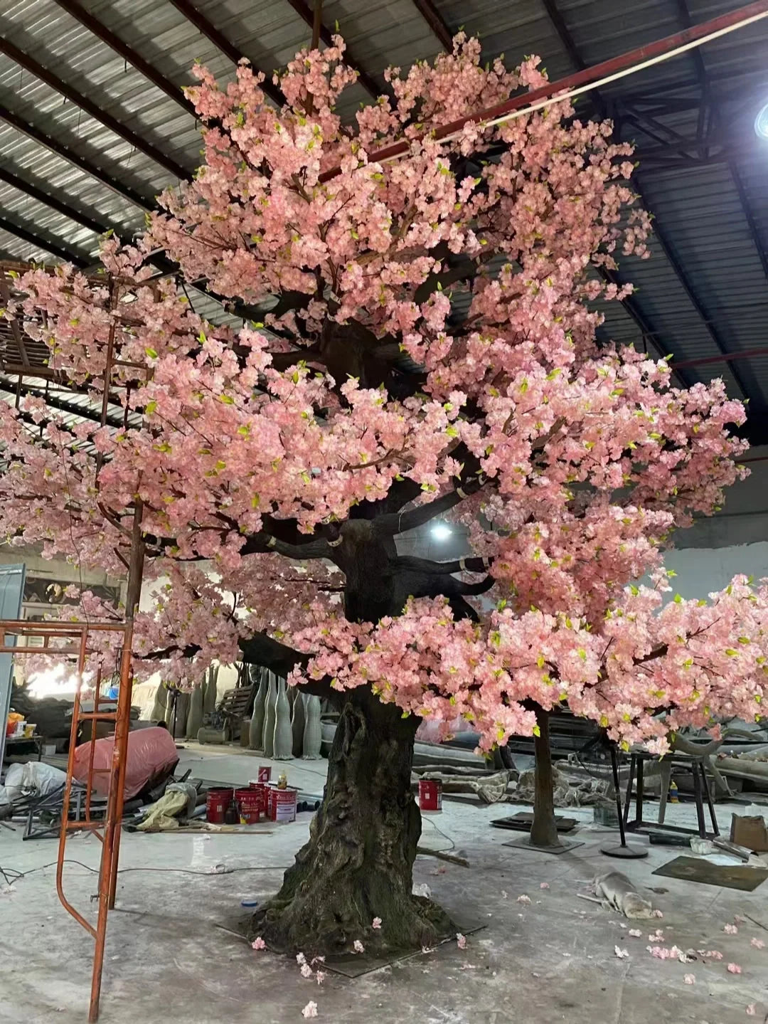 Close-up of the sakura flowers massed along the outermost branch tips