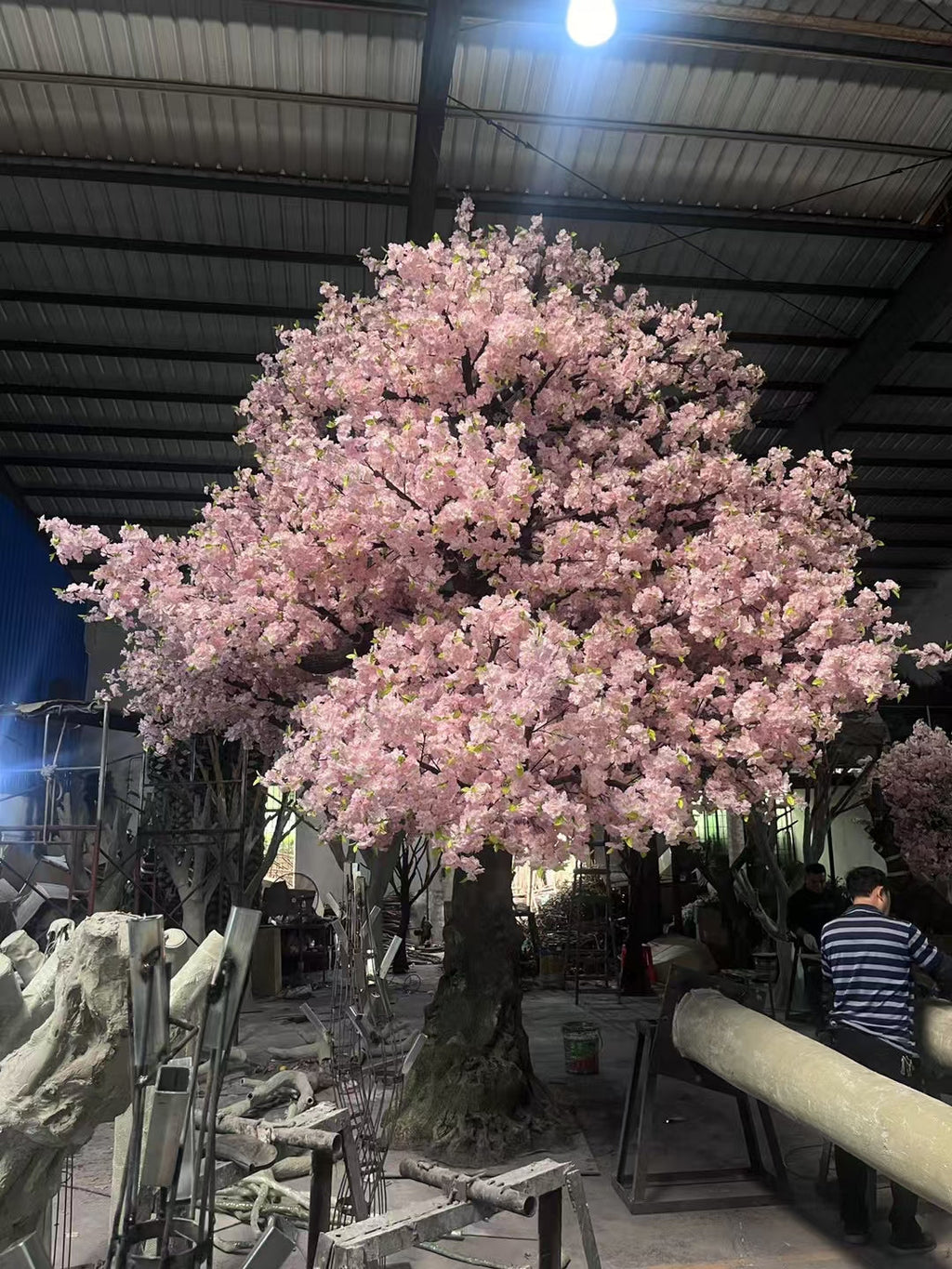 The heavy trunk and branch frame of the 20ft blossom tree beneath the flowers
