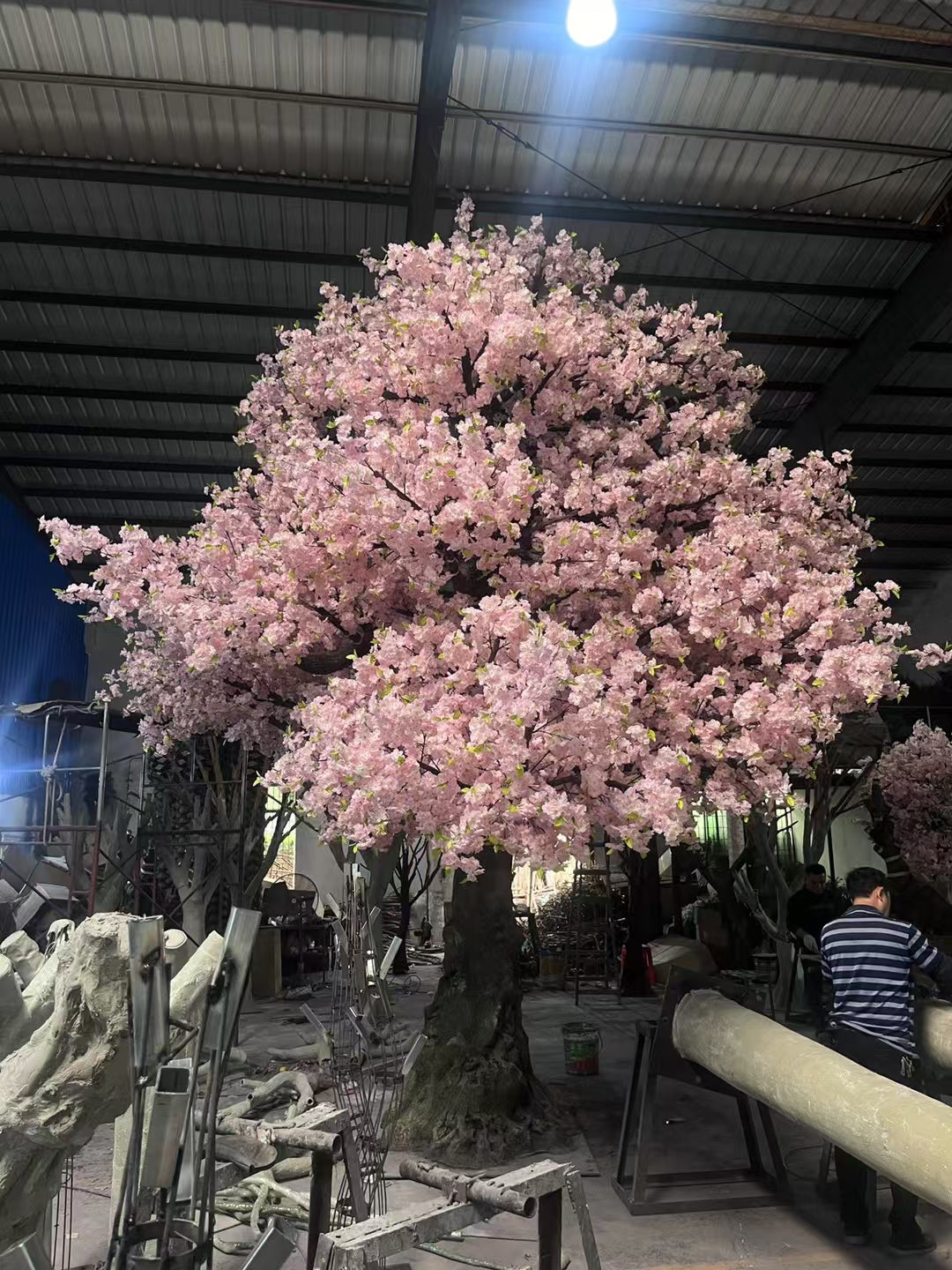 The heavy trunk and branch frame of the 20ft blossom tree beneath the flowers