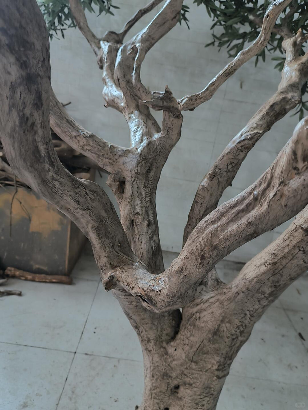 Pot and base of the custom-made olive tree, topped with moss and stone