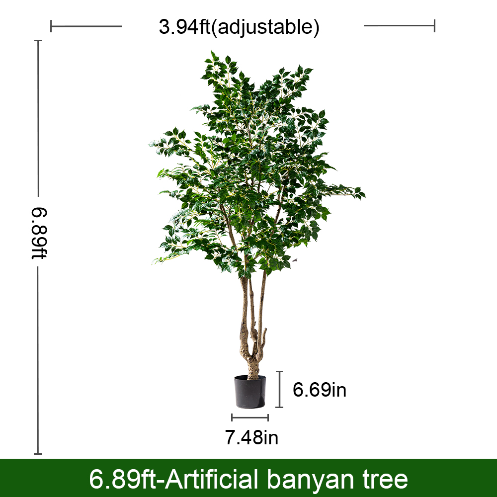 Close-up of where a leafy branch joins the main trunk of the banyan