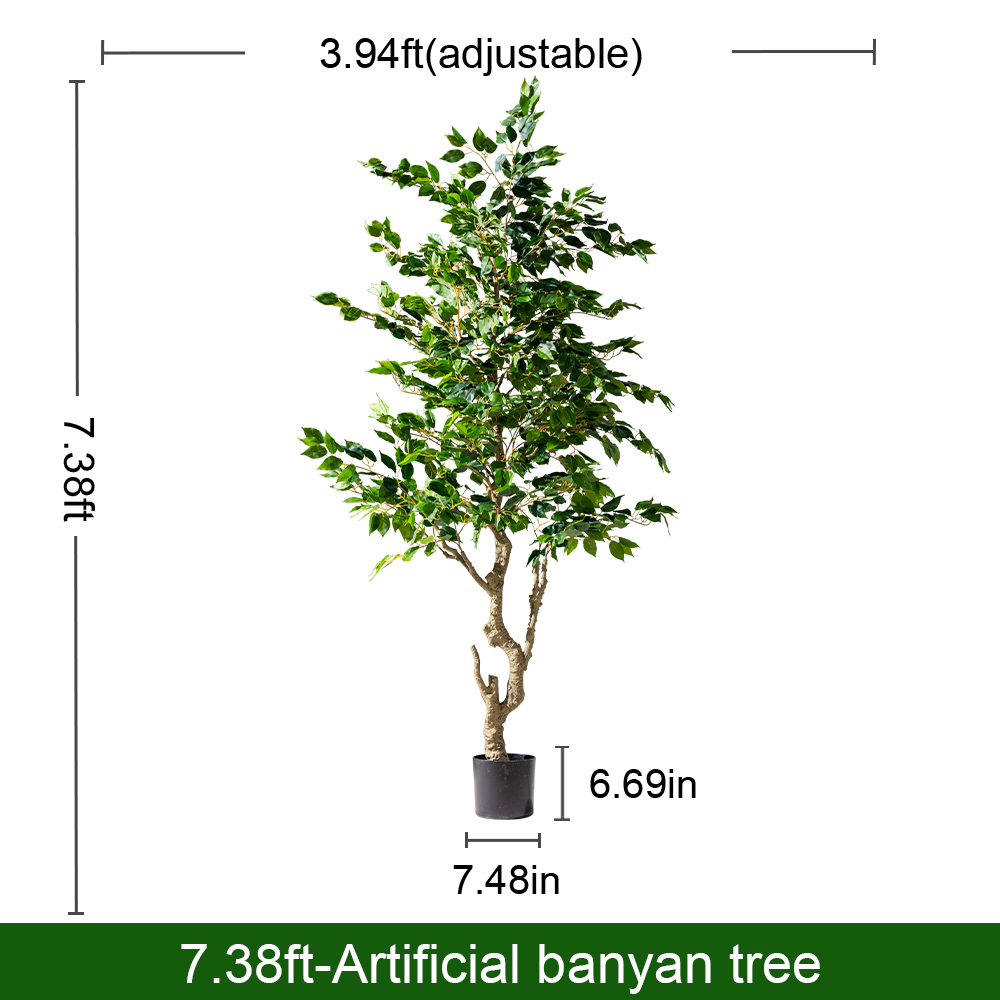The potted banyan used as greenery beside a restaurant entrance doorway