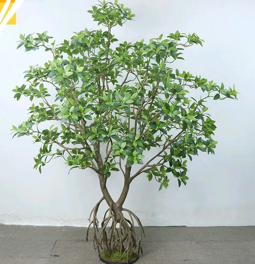 Artificial mangrove tree 8ft tall in a forest style, branches spreading wide and low