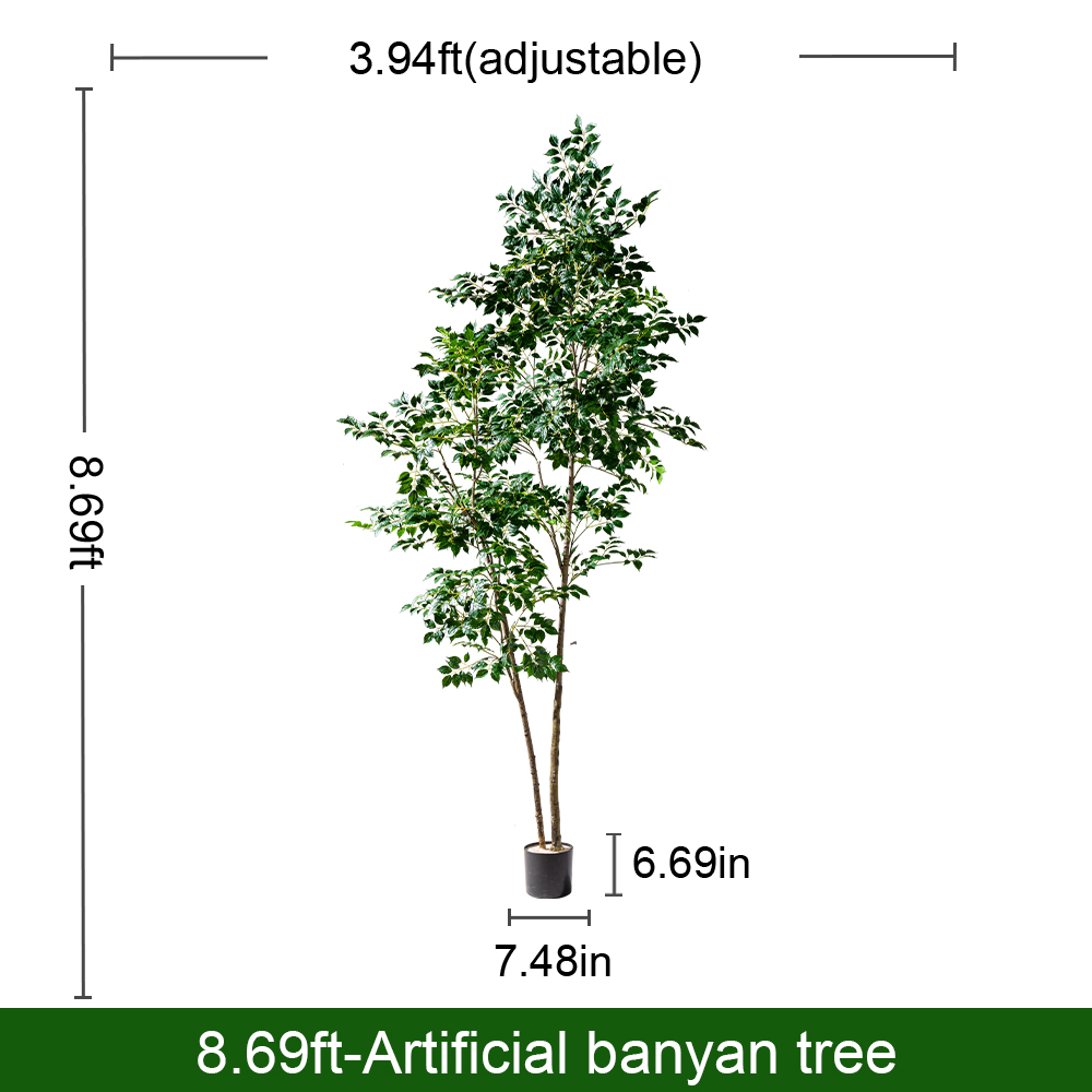 The 6ft banyan standing beside a chair, giving a sense of its overall scale