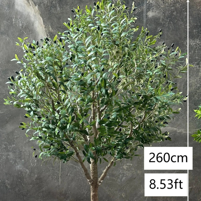 The moulded trunk of the 7ft olive tree, textured with gnarled olive bark