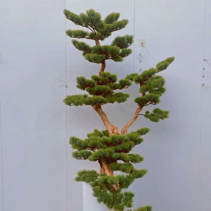 The lifelike bonsai trunk twisting up from the base through the branches