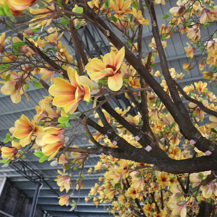 The 4m magnolia tree in a hotel lobby, blooms reaching high above the floor