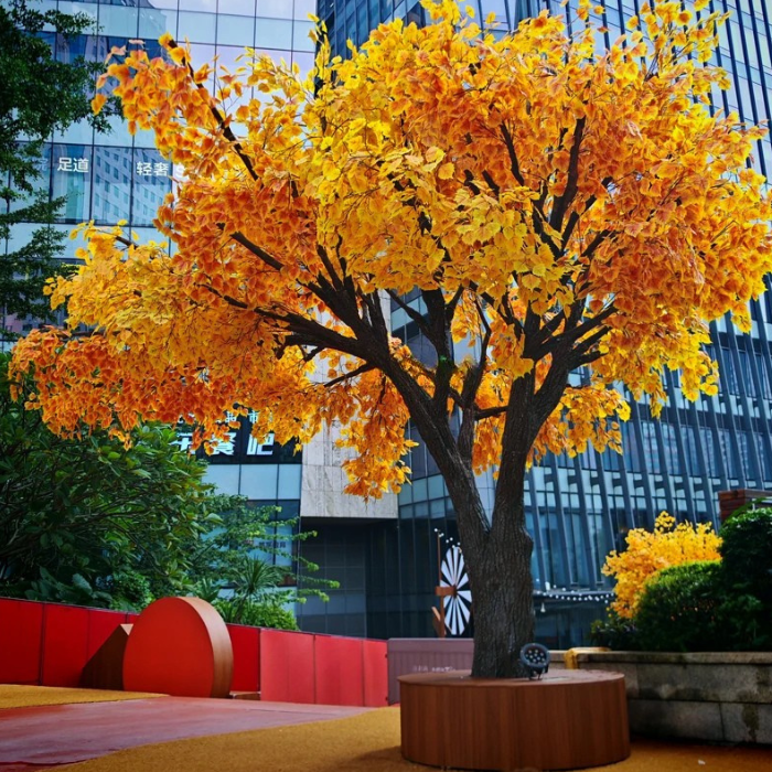 The ginkgo tree used in a hospitality interior beside a lounge seating area