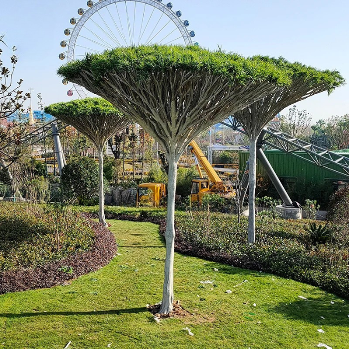 Artificial dracaena fragrans with broad arching leaves set on a fibreglass trunk