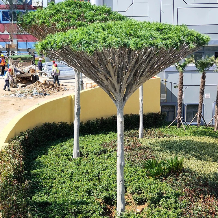Fibreglass trunk detail on the dracaena, textured with old leaf scar rings