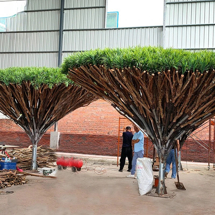 The dracaena tree in a hotel lobby standing beside a run of glazing