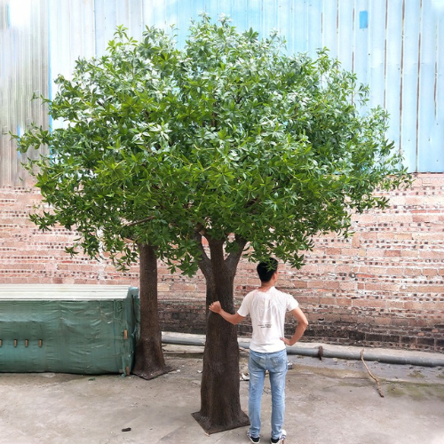 The osmanthus tree used as garden decor beside a paved garden pathway