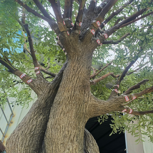 The trunk of the custom olive tree, textured with deep gnarled bark