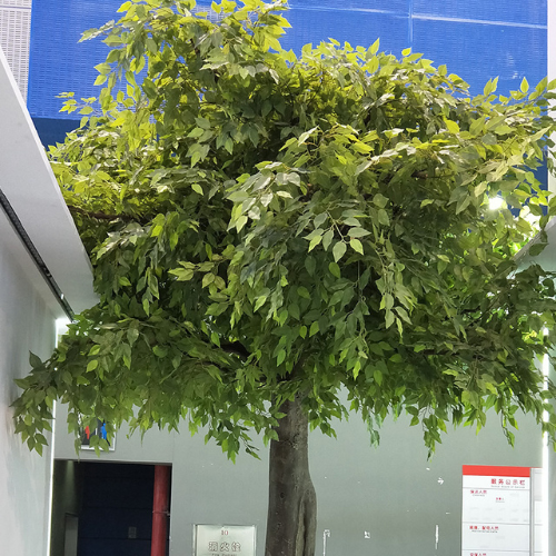 Tall artificial banyan tree with dense ficus foliage across a wide open crown