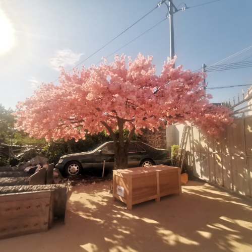 The blossom tree used as decoration at an outdoor wedding ceremony