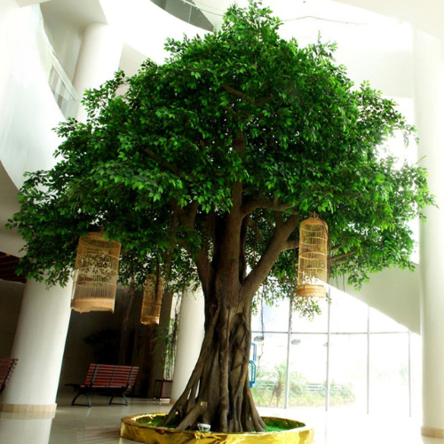 Artificial ficus tree with dense green foliage set on a moulded fibreglass trunk