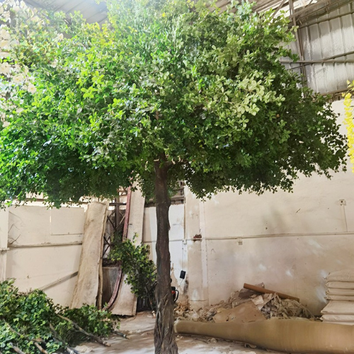 The banyan trunk and its aerial roots, moulded with deep bark texture