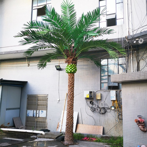 Base of the metal-trunk palm where it is fixed down into the ground