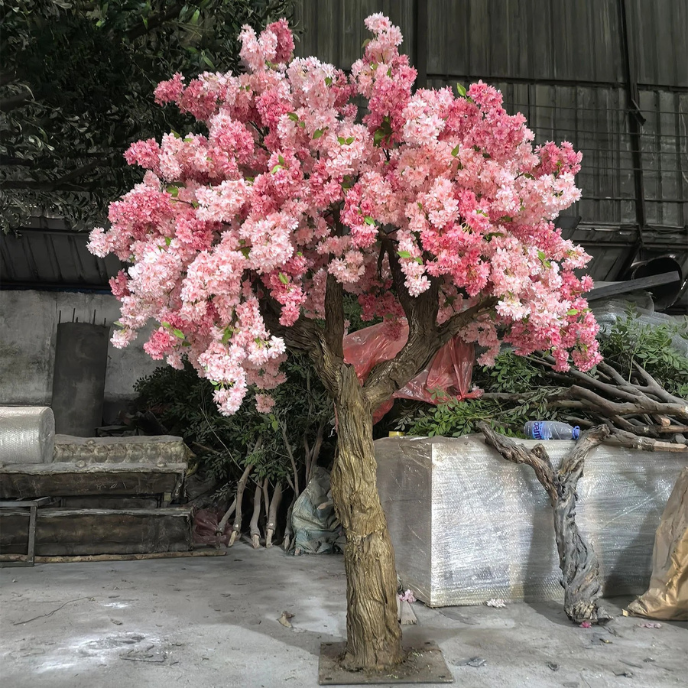 The wide crown of the blossom tree seen from above, its flowers massed