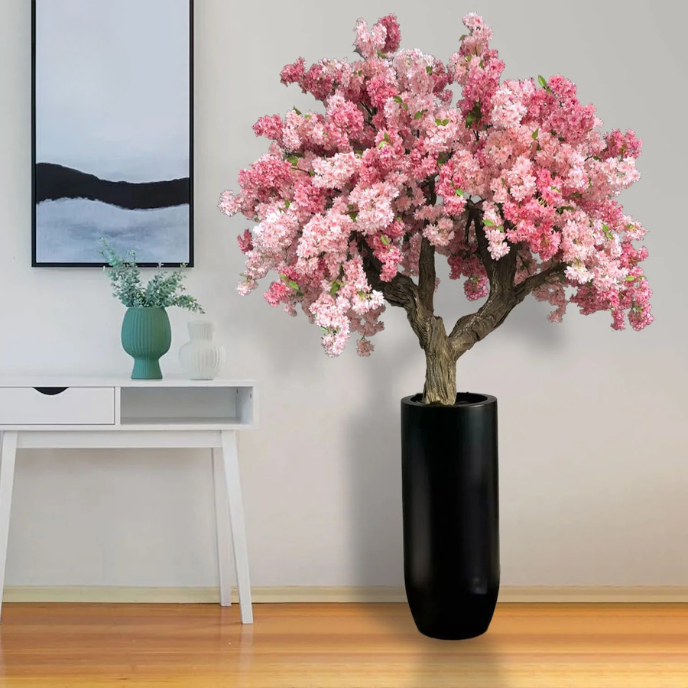 Close-up of the sakura blossoms and buds clustered along the branch tips