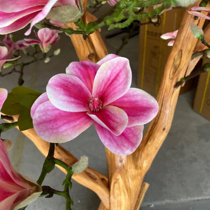 Close-up of the silk petals showing their bright colour and layered form