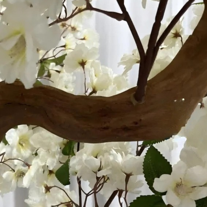 Pot and base of the pink and white cherry blossom tree, topped with moss