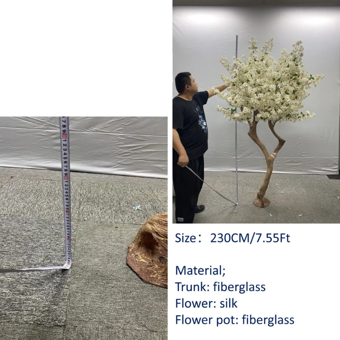 Pot and base of the 2.3m white cherry blossom bonsai, topped with moss