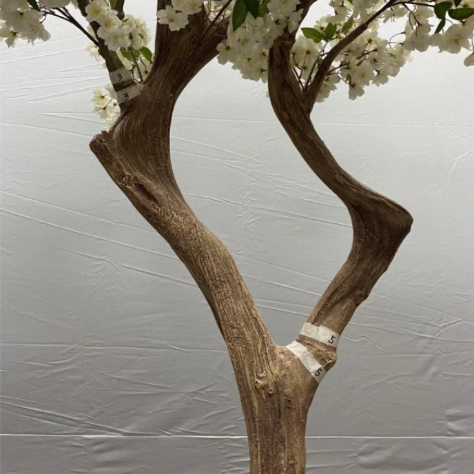 The sculpted bonsai trunk of the 2.3m white blossom tree curving up from the base