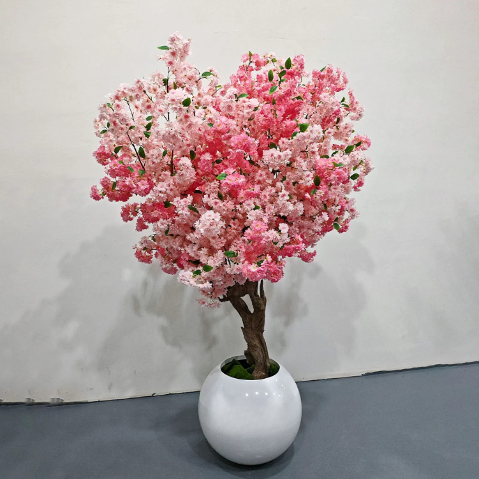 The tree shaped to a custom width, branches reaching well to one side