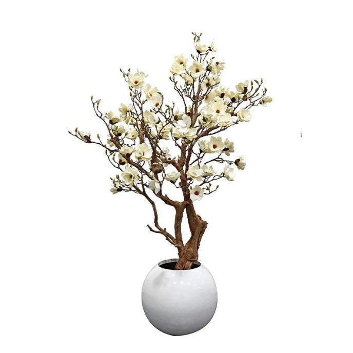 The crown of the blossom tree seen from below against a bright ceiling