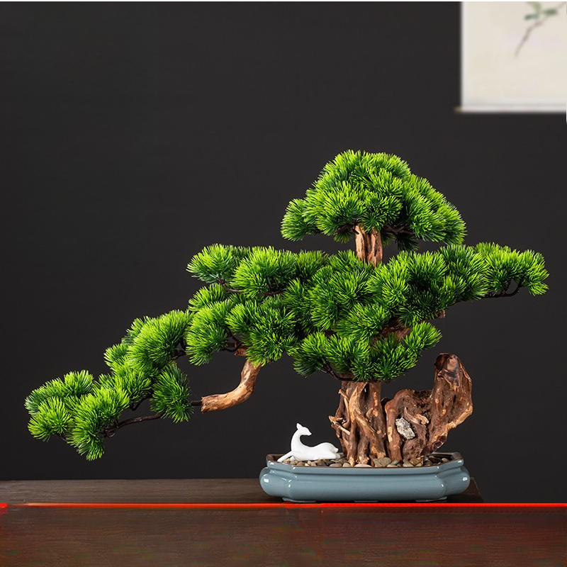 The moss finish spread across the potting surface at the bonsai base