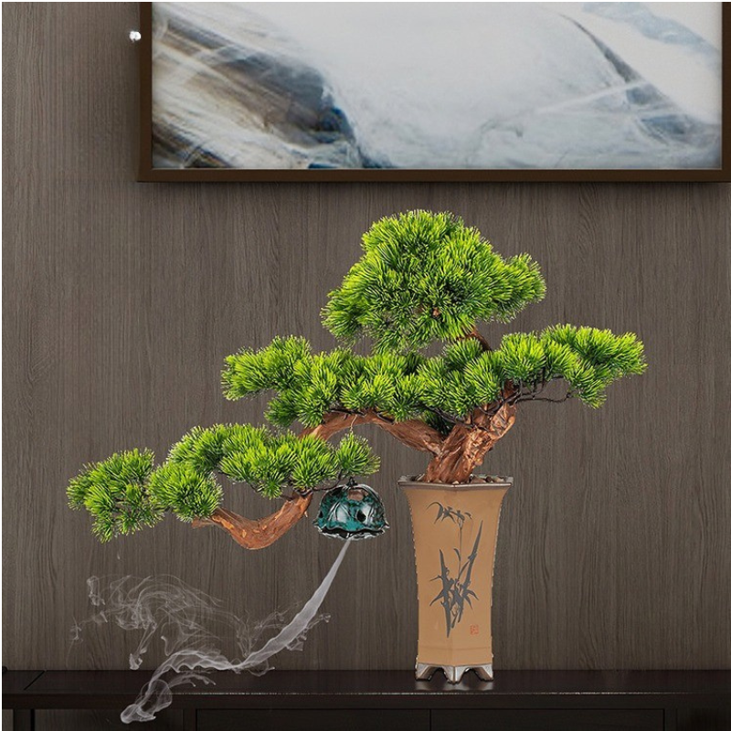 The bonsai on a desk beside a lamp as a piece of green decoration