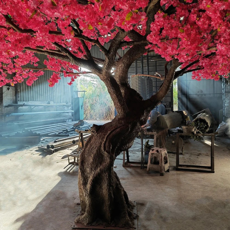 The trunk and branch frame of the blossom tree beneath its flowering crown