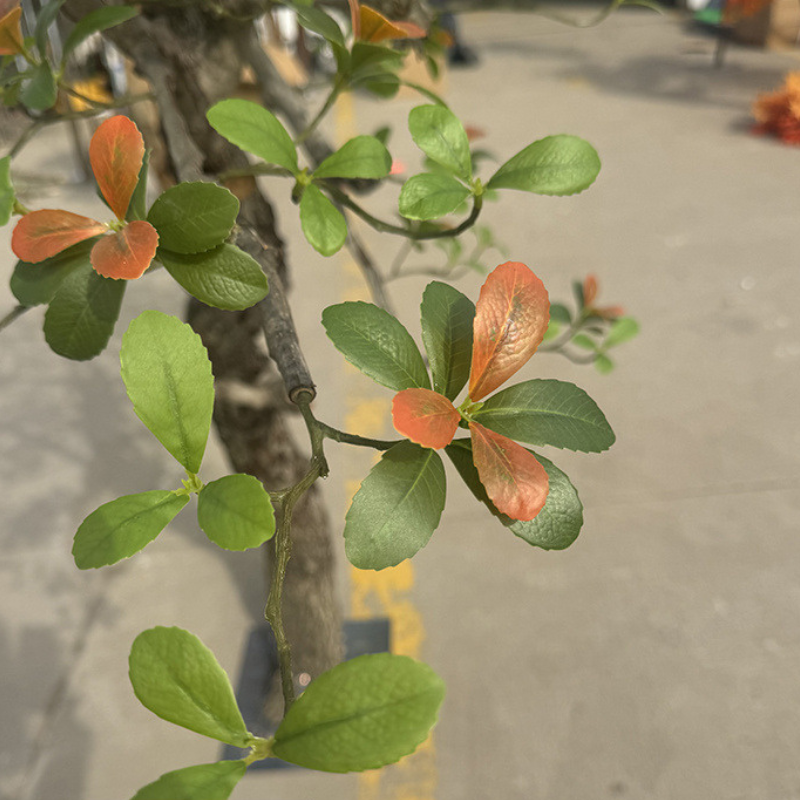 The flowering plant used as a floor ornament beside a plain pale wall