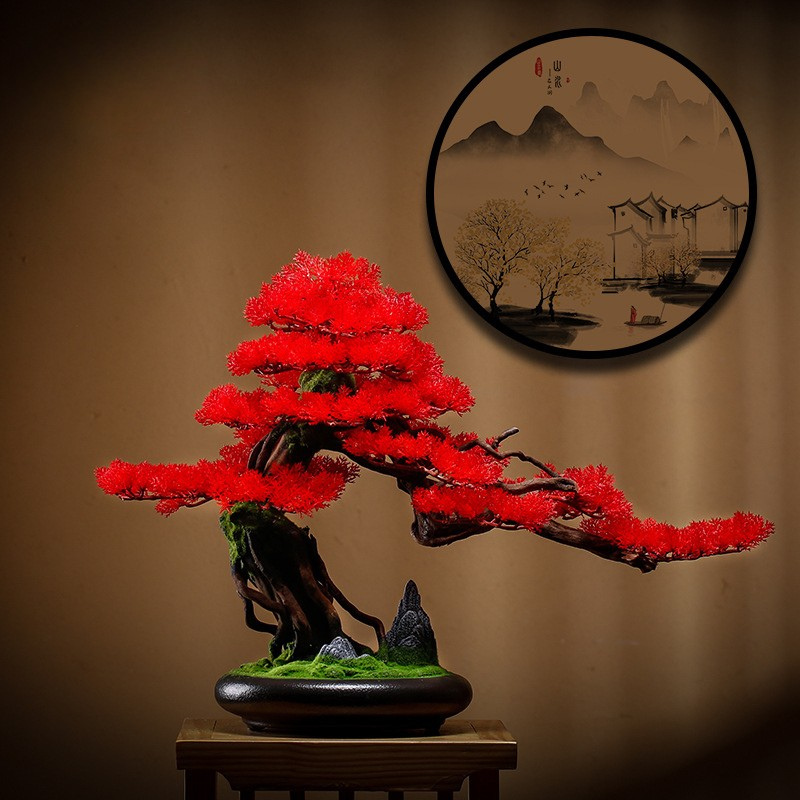 The topmost branch pad crowning the 1.2m pine bonsai, seen close up