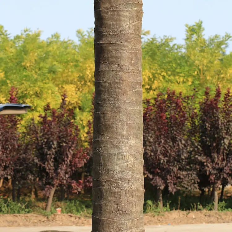 The 7ft coconut tree used outdoors on a patio standing beside seating