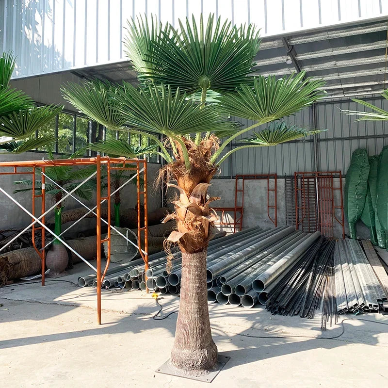The trunk of the fan palm rising up to its crown of fan-shaped leaves