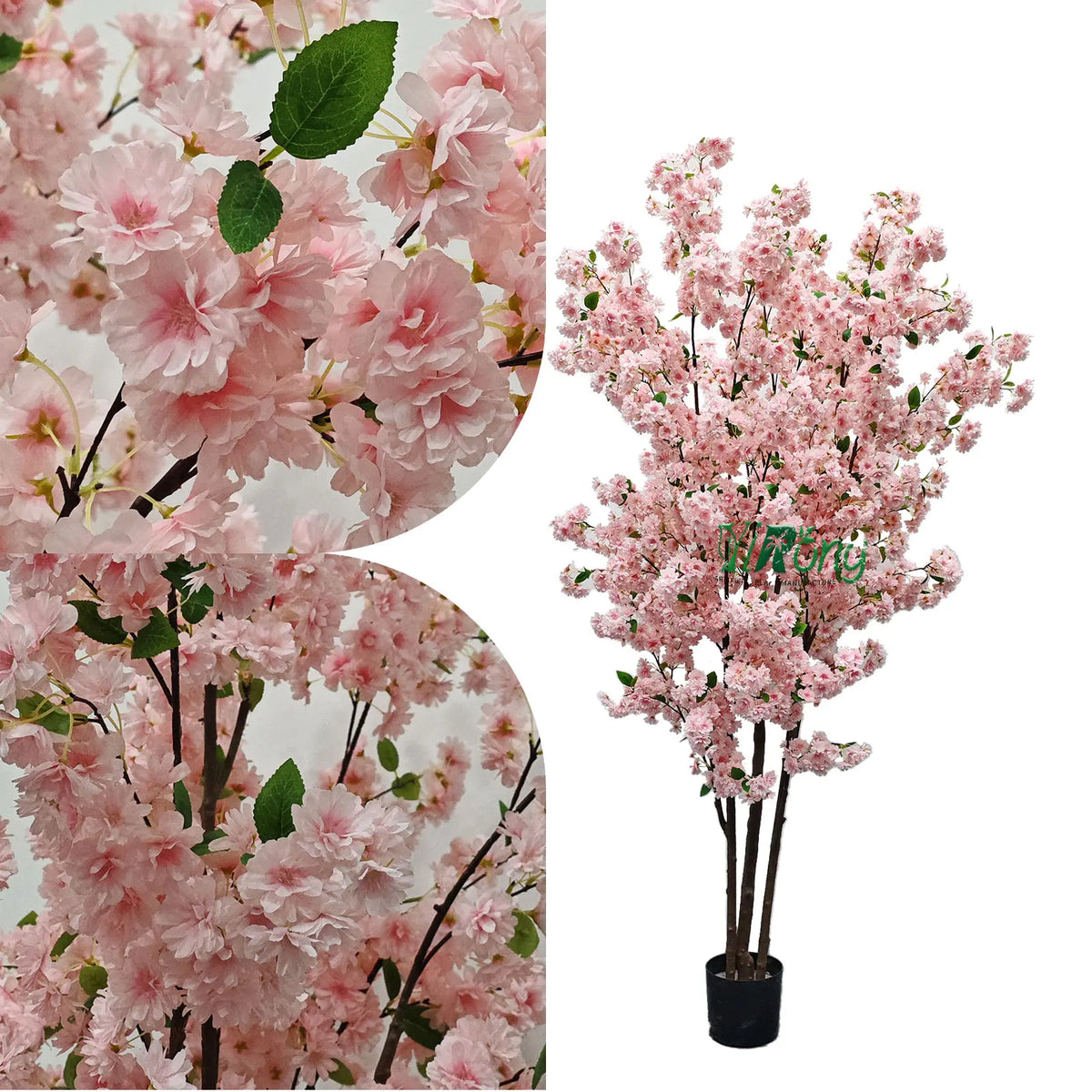 Closed blossom buds set among the open flowers along a fine twig