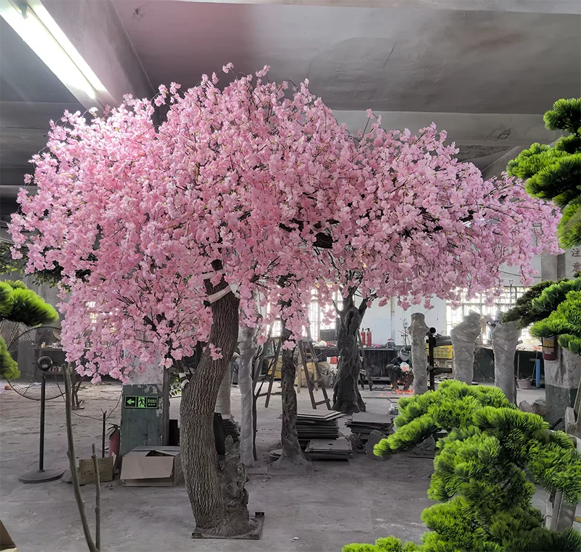 Close-up of the pink sakura blossoms clustered along the fine branch tips