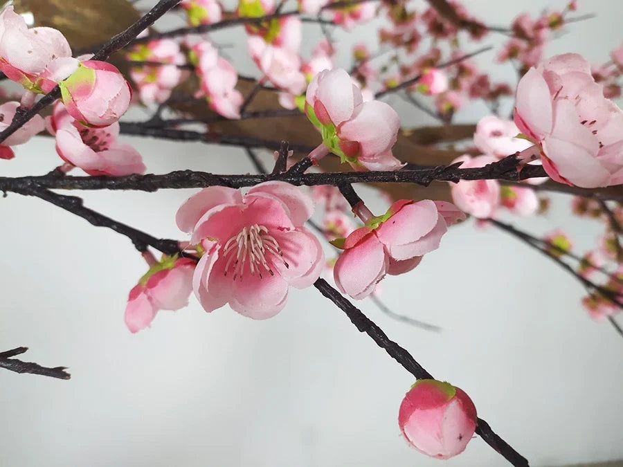 The trunk and branch frame of the blossom tree beneath its flowering crown