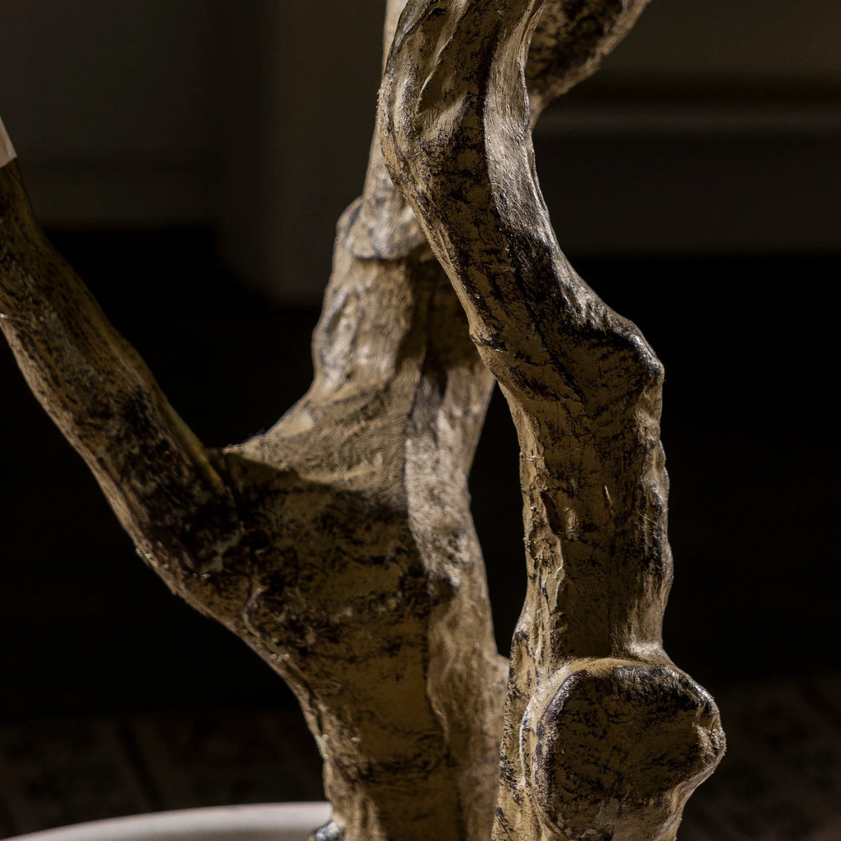 The sculpted trunk of the 350cm olive bonsai twisting up from the base