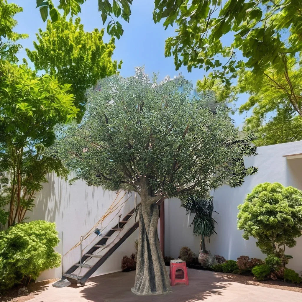 The same olive tree used outdoors beside a paved garden terrace