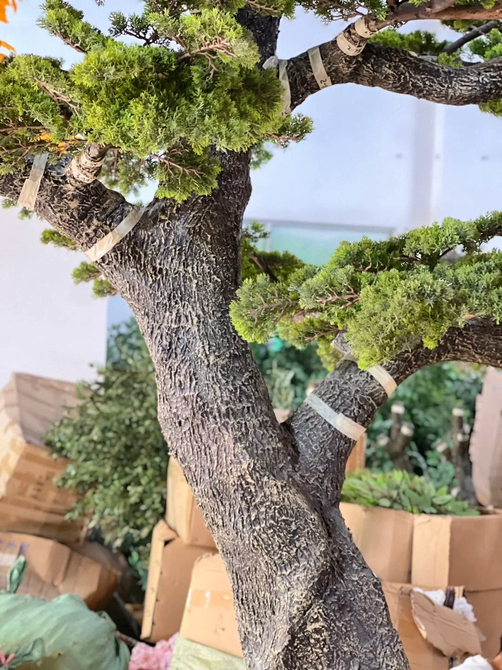The 4m pine tree in a hotel lobby, branches reaching high above the floor