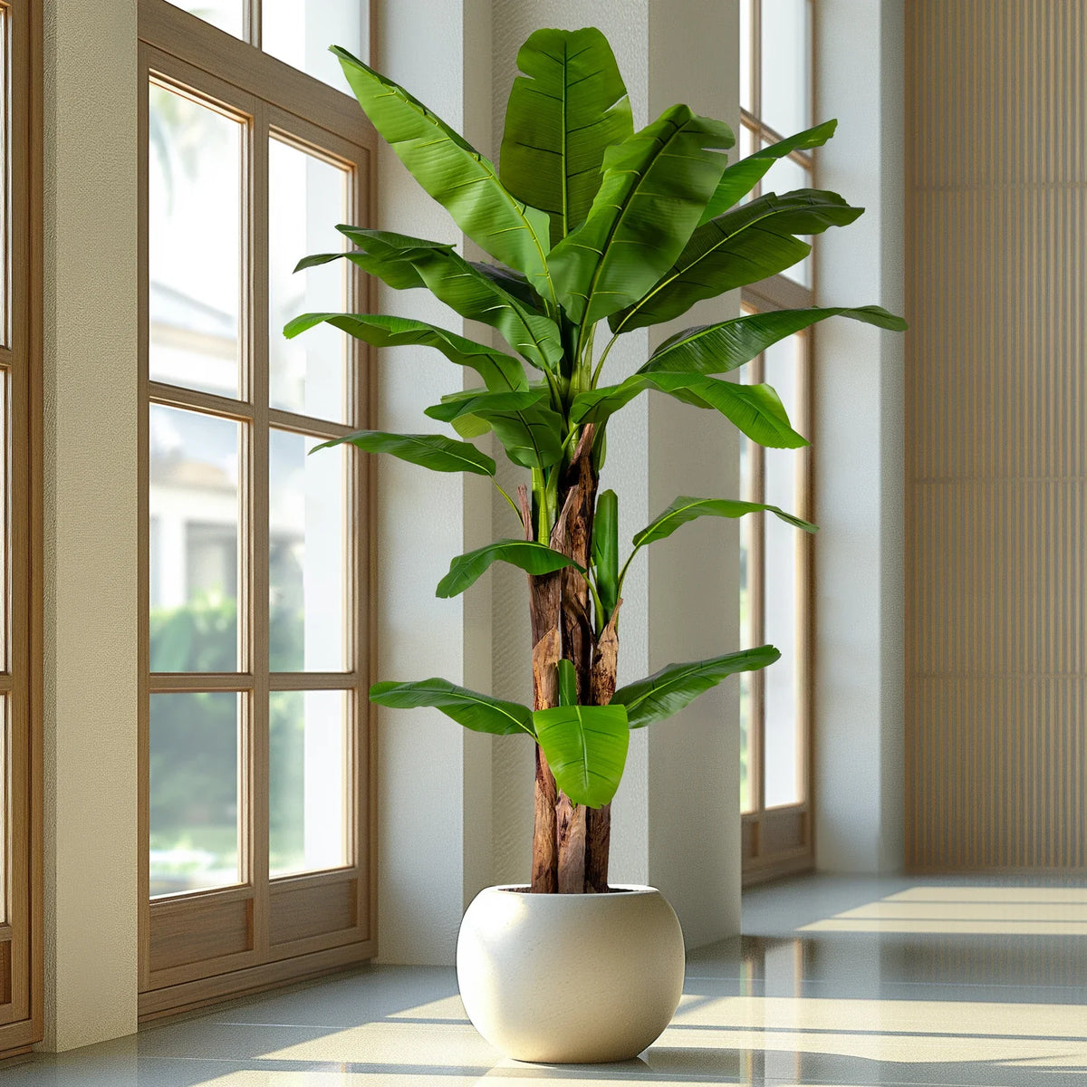 The banana tree used as tropical greenery beside a hotel pool terrace